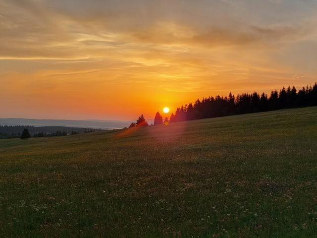 Landgasthof Neitsch Schwarzenberg (Saxony) Exterior foto