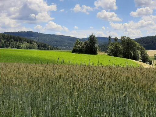 Landgasthof Neitsch Schwarzenberg (Saxony) Exterior foto